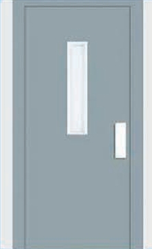 Imported MS Swing Door